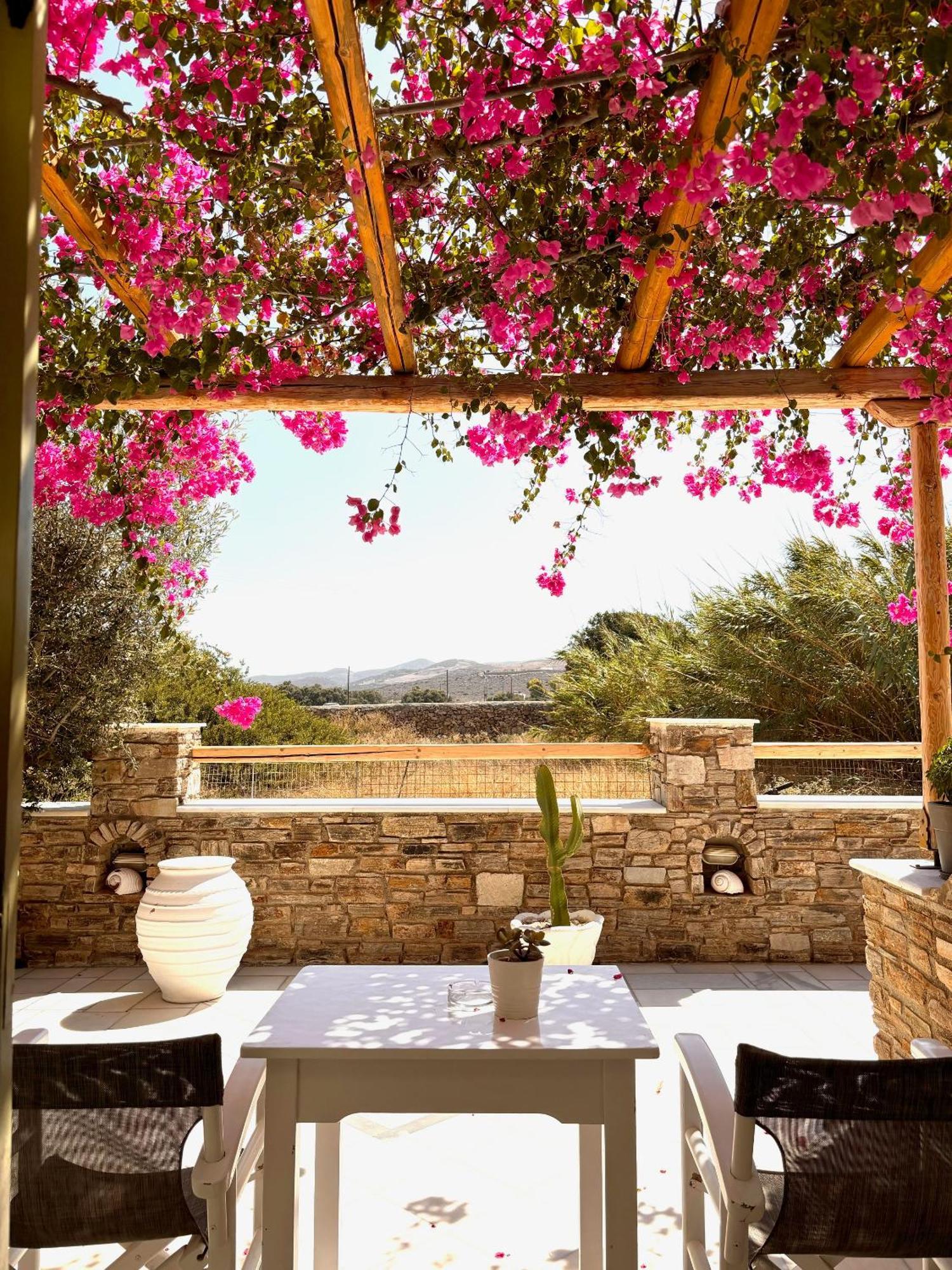 Aegeo Inn Antiparos Luaran gambar